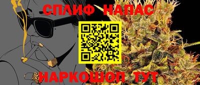 дживик Донской