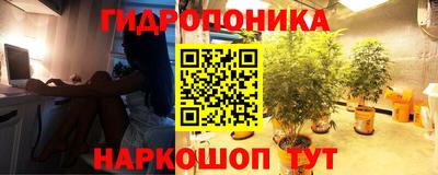 наркотики Дубна