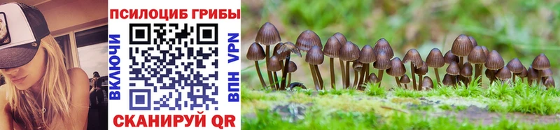Псилоцибиновые грибы MAGIC MUSHROOMS  дарнет шоп  Наро-Фоминск 
