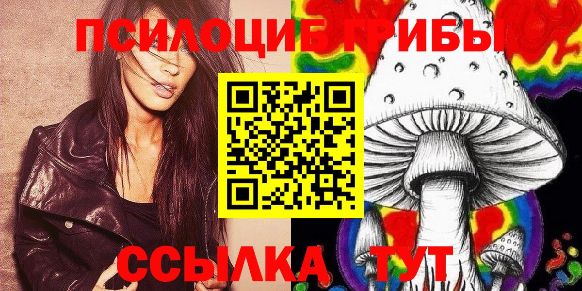 Галлюциногенные грибы GOLDEN TEACHER  Наро-Фоминск  наркотики  Галлюциногенные грибы Psilocybe 