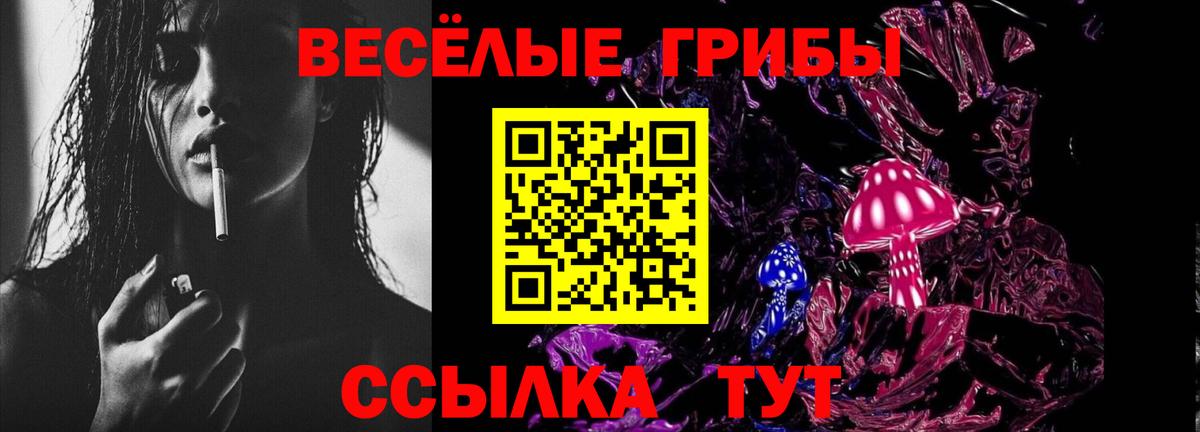 Псилоцибиновые грибы Cubensis Наро-Фоминск