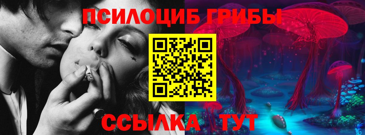 Галлюциногенные грибы Magic Shrooms Наро-Фоминск