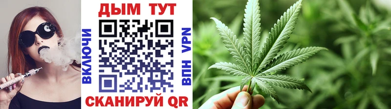 Бошки Шишки ГИДРОПОН  где найти   Наро-Фоминск 
